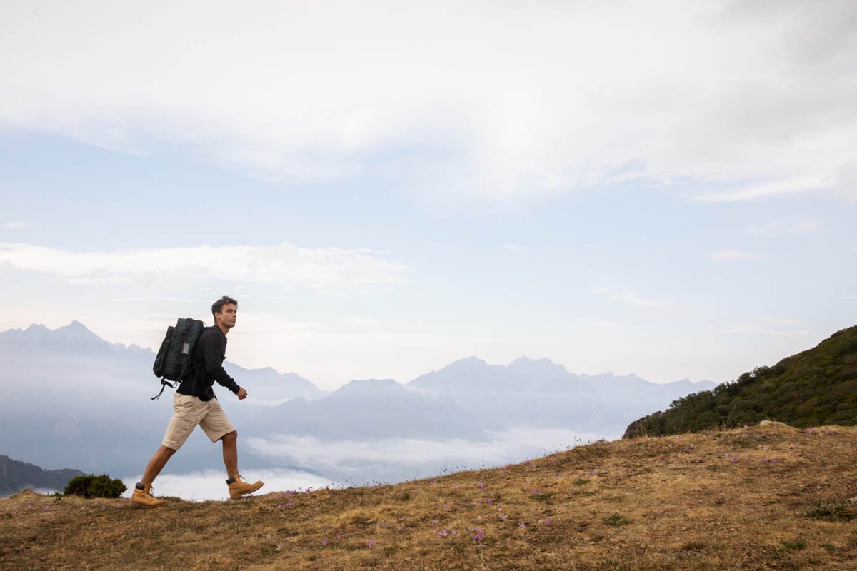 Recent trends in storytelling